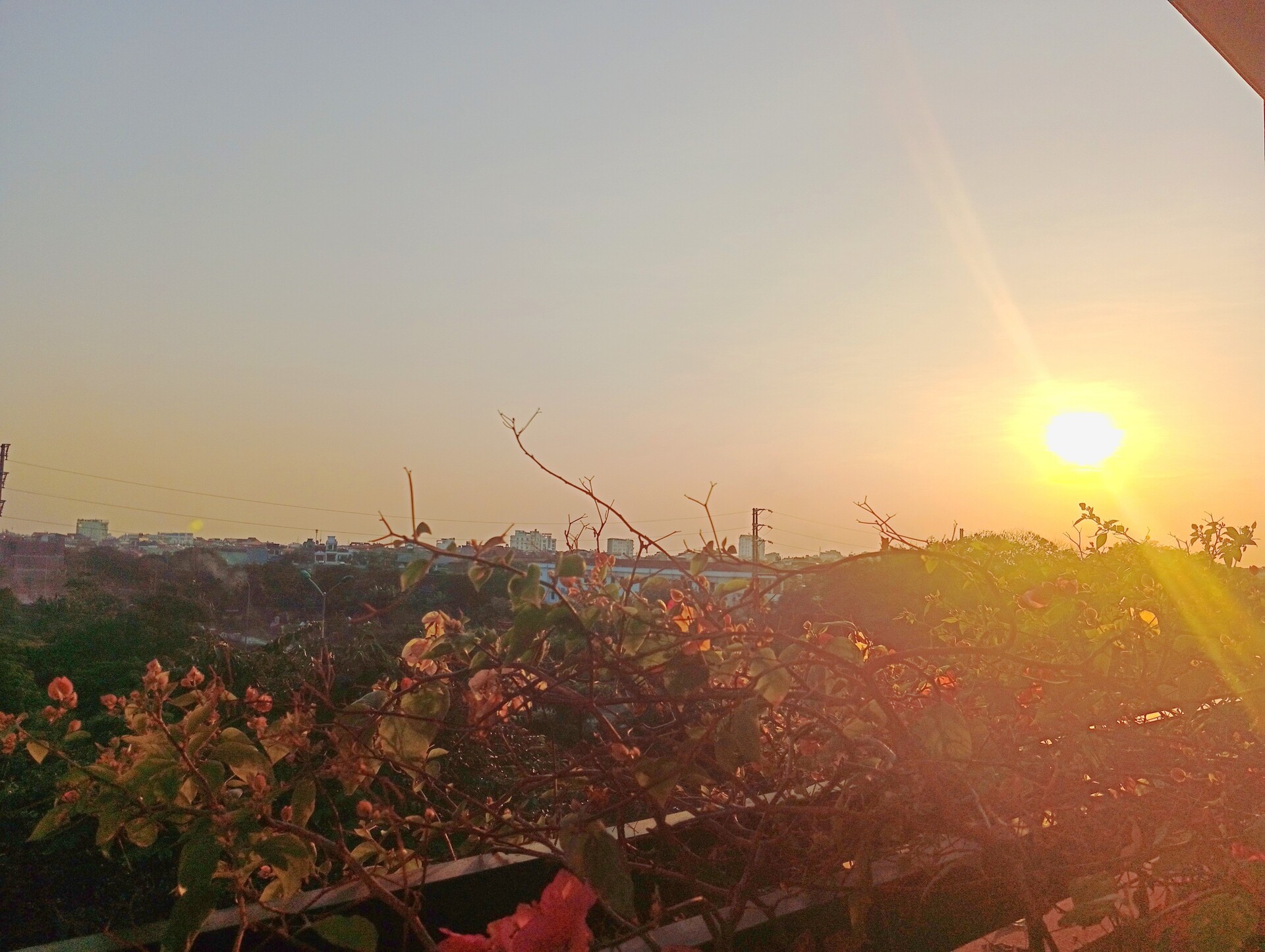 [BDT 04] Trượt hay đậu